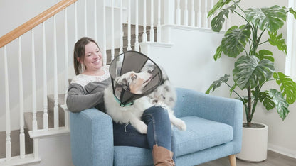 Zenpet Procone L