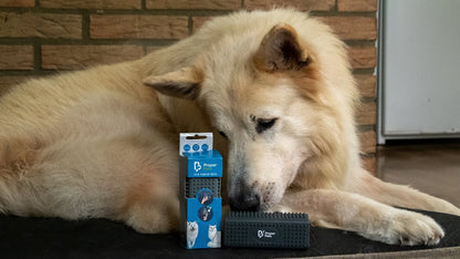 Proper Pets Hair Remover