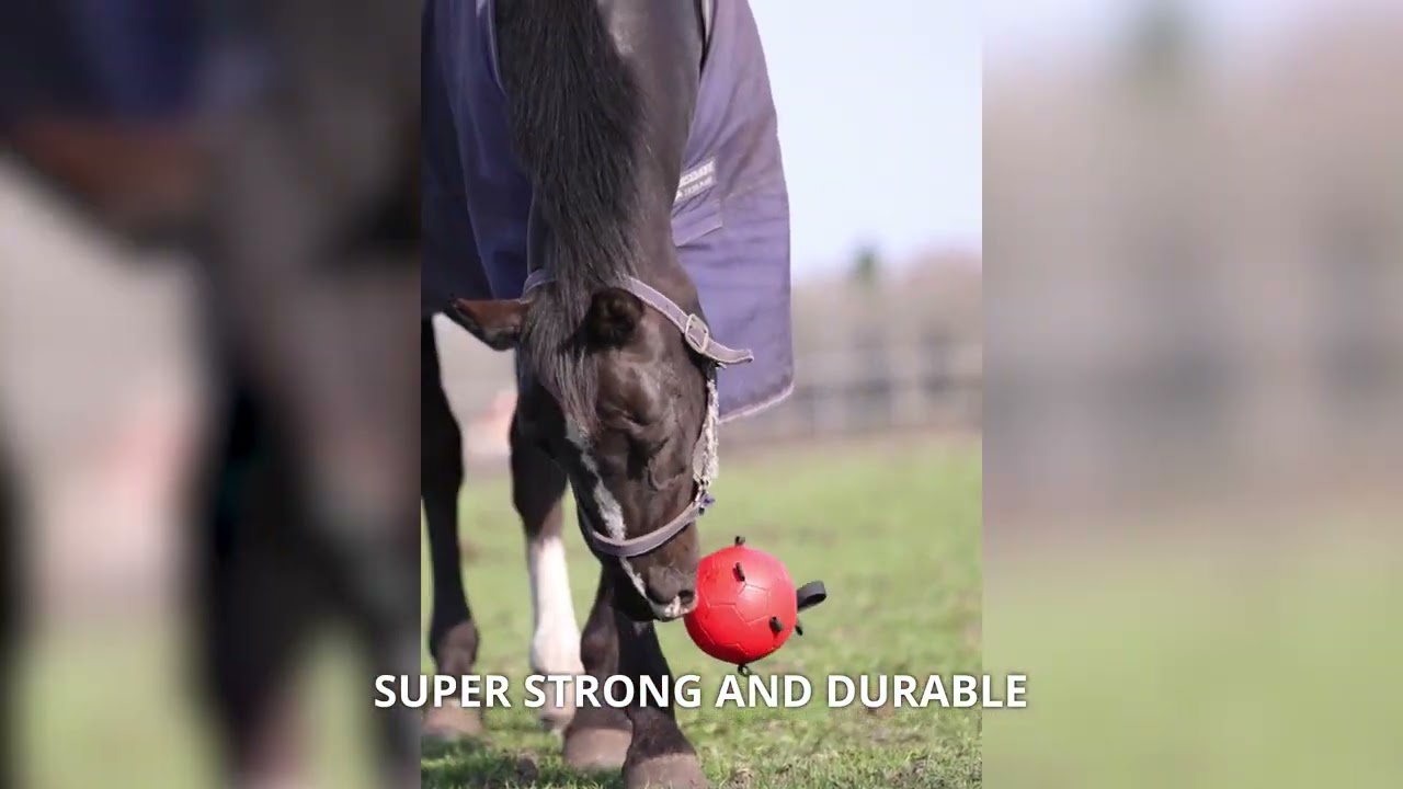 Excellent Horse Fun Play Ball Red