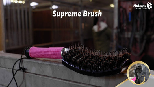 Kiváló Ló Supreme Brush Fekete