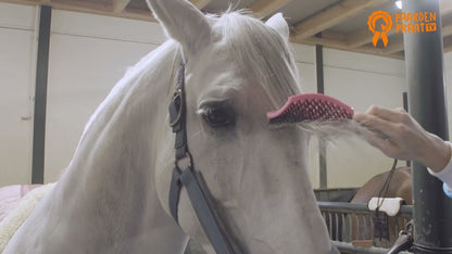 Paardenpraat Horse Supreme Borstel Pink